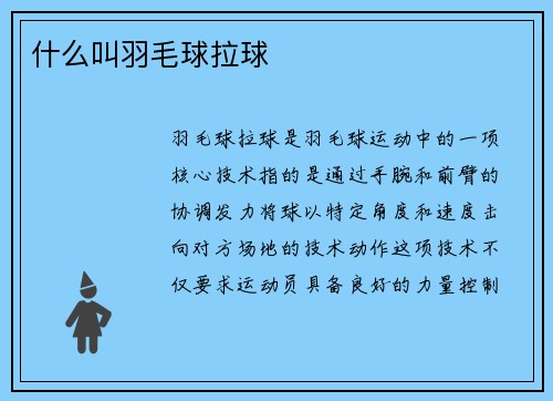 什么叫羽毛球拉球