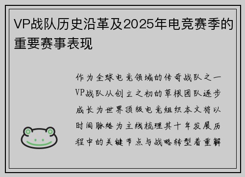 VP战队历史沿革及2025年电竞赛季的重要赛事表现